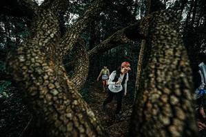 BIB: 
                            <button type="button" onclick="openModal(25693097)" class="btn btn-primary btn-sm float-right btn-popup" data-toggle="modal" data-target=".modal-high-quality">
                        <i class="fas fa-shopping-cart"></i> Add to Cart
                    </button>
                                            <button type="button" onclick="isThisMe(25693097, true)" class="btn btn-success btn-sm float-right btn-popup btn-isme hidden" data-toggle="tooltip" data-placement="bottom" title="นี่คือรูปของคุณใช่ไหม คลิกที่นี่เพื่อเอาเข้าอัลบั้ม">
                        <i class="fas fa-plus"></i> Add to album
                    </button>
                    <button type="button" onclick="isThisMe(25693097, false)" class="btn btn-warning btn-sm float-right btn-popup btn-isnotme hidden">
                        <i class="fas fa-ban"></i> Remove from album
                    </button>